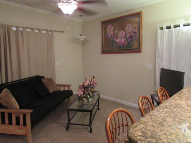 Living area with fold down sofa bed and flat screen TV.