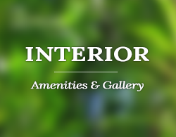 Interior - Amenities & Gallery